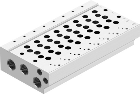Manifold rail