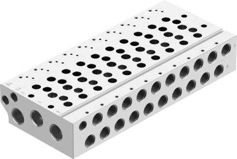Manifold rail