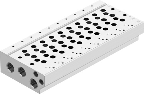 Manifold rail