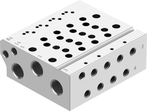 Manifold rail