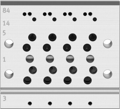 Manifold rail