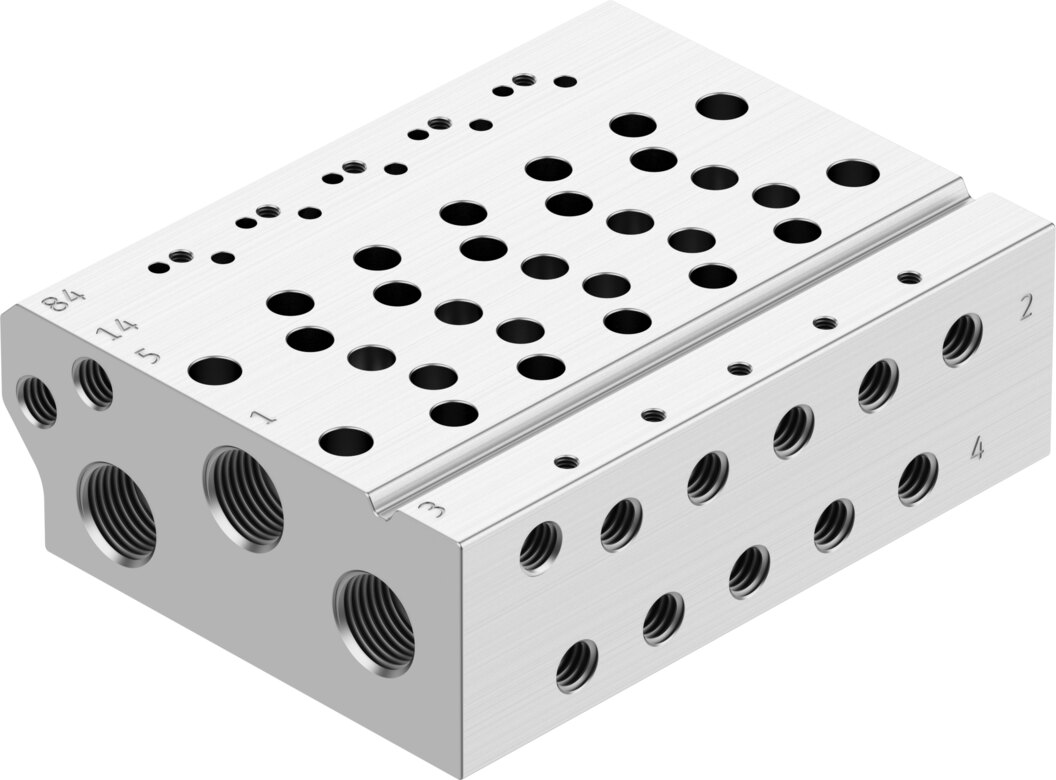 Manifold rail