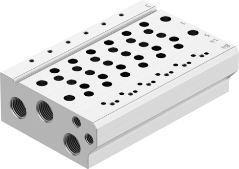 Manifold rail