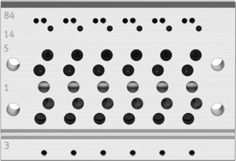 Manifold rail