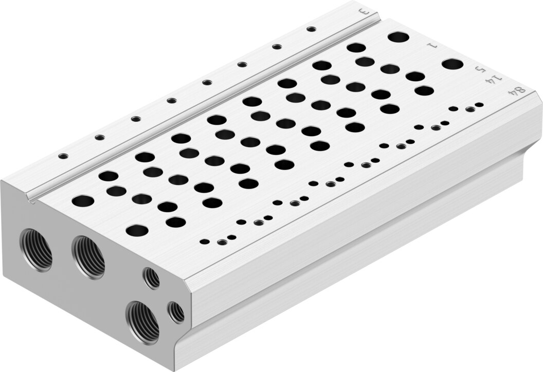 Manifold rail