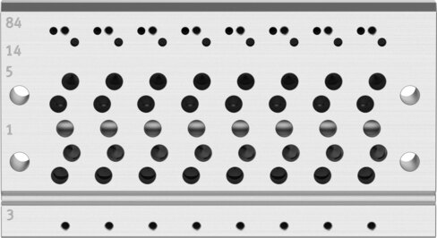 Manifold rail