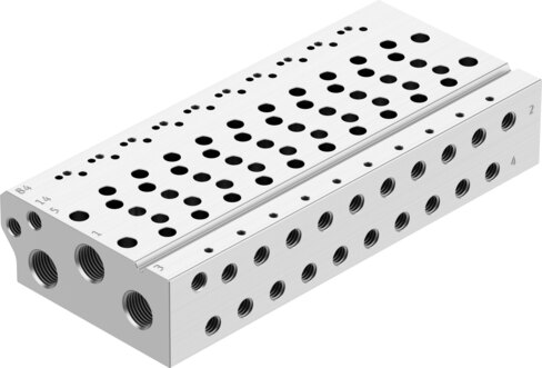 Manifold rail