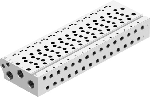 Manifold rail