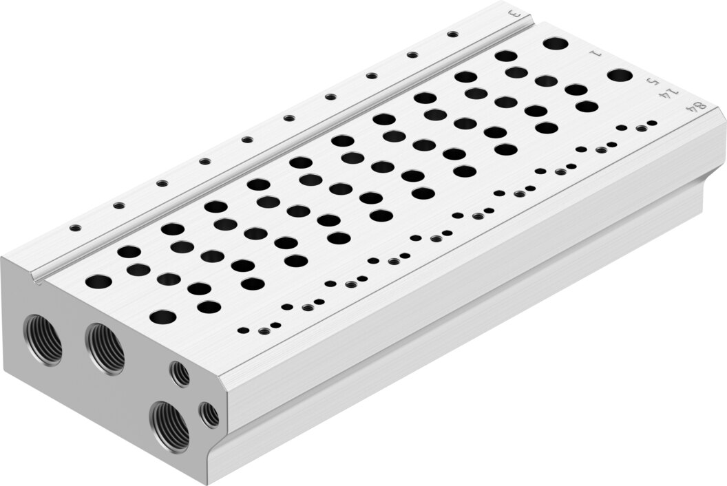 Manifold rail