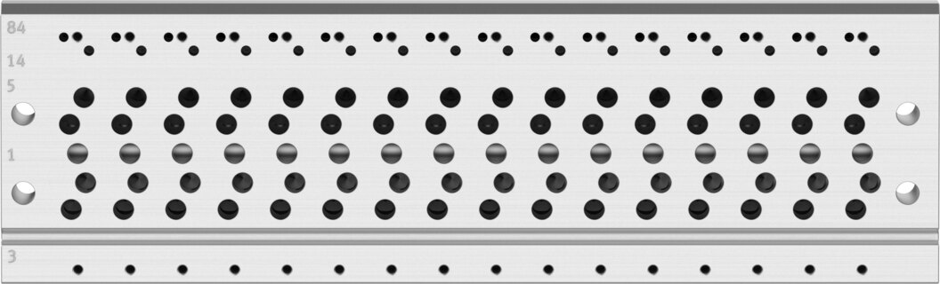 Manifold rail
