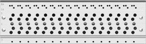 Manifold rail