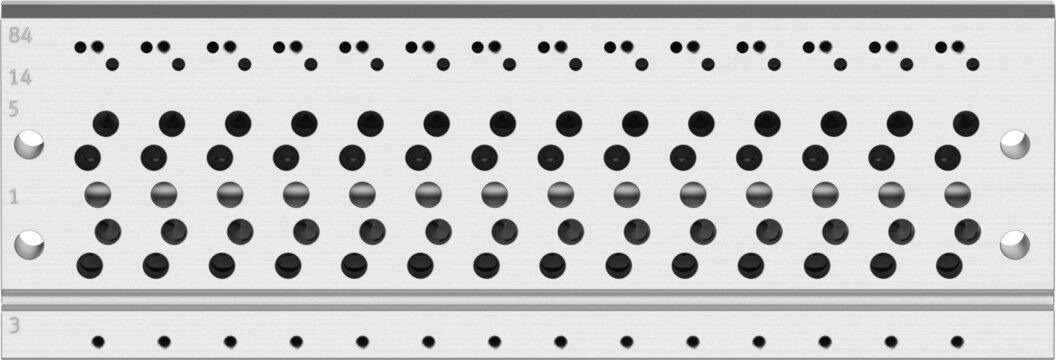 Manifold rail