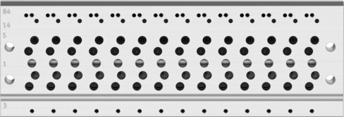 Manifold rail