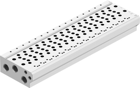 Manifold rail