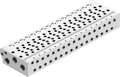 Manifold rail