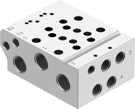 Manifold rail