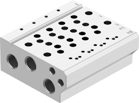 Manifold rail