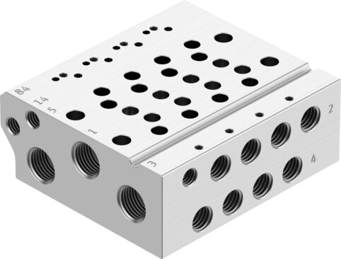 Manifold rail