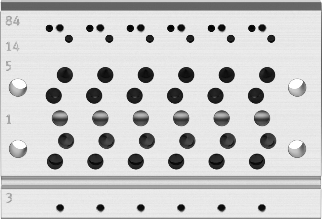 Manifold rail