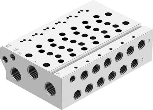 Manifold rail