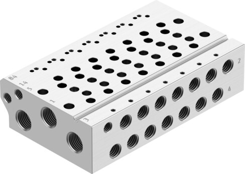 Manifold rail