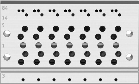Manifold rail
