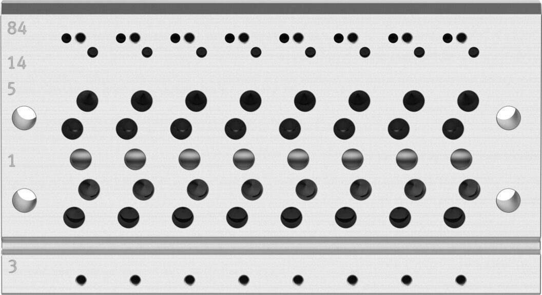 Manifold rail
