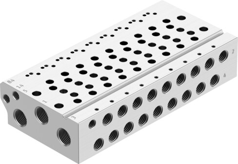 Manifold rail