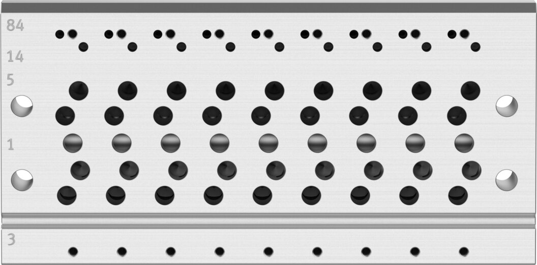 Manifold rail