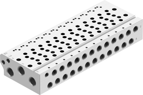 Manifold rail