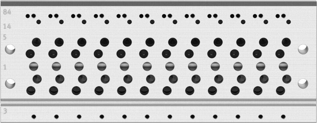 Manifold rail