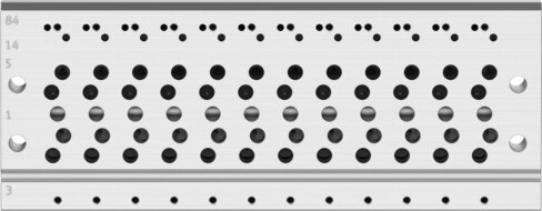 Manifold rail