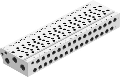Manifold rail