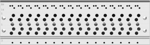 Manifold rail
