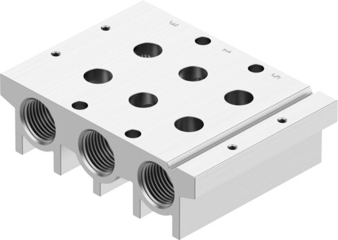 Manifold rail
