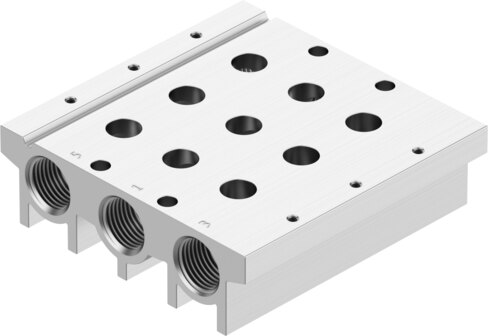 Manifold rail