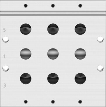 Manifold rail