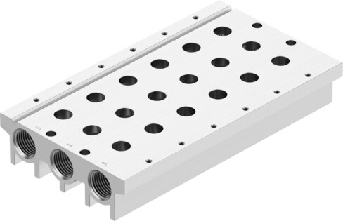 Manifold rail