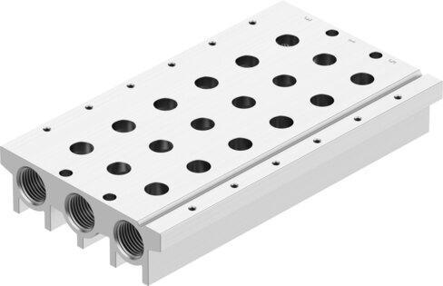 Manifold rail