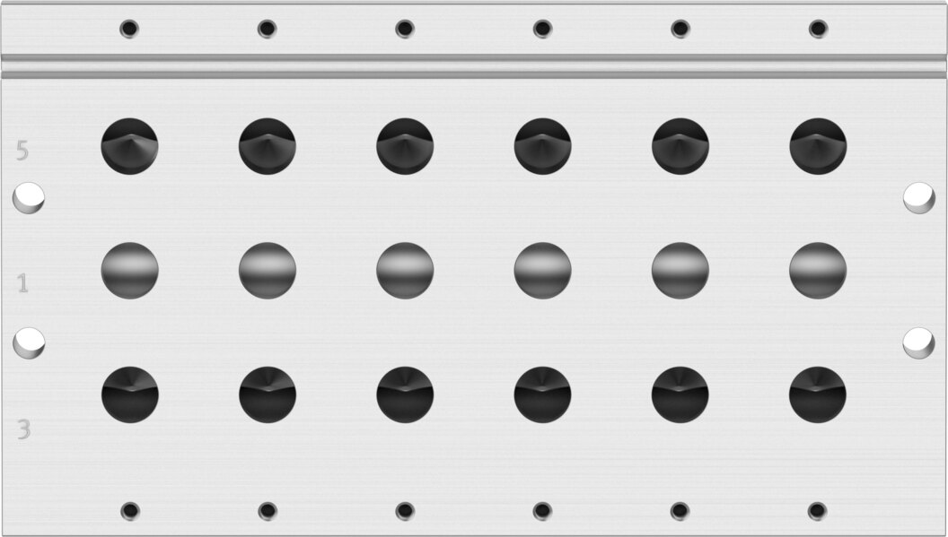 Manifold rail