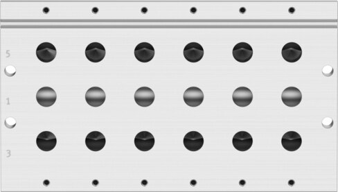 Manifold rail