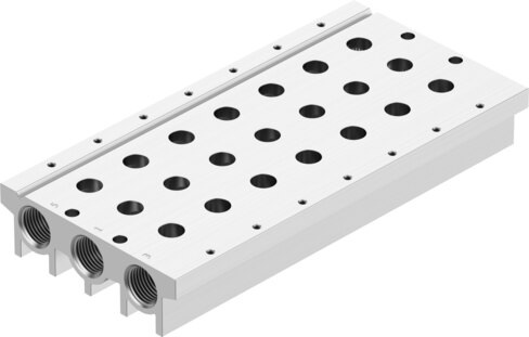 Manifold rail