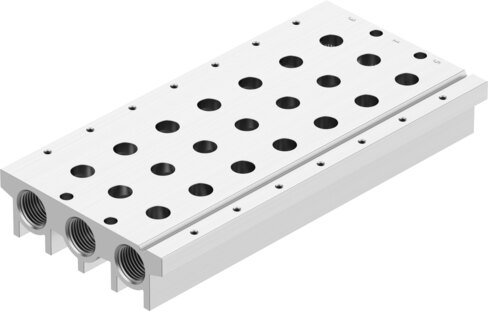 Manifold rail