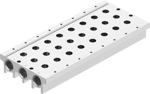 Manifold rail