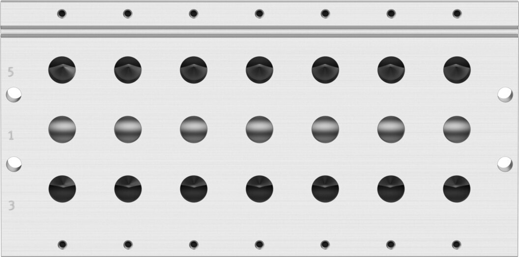 Manifold rail