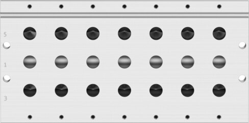Manifold rail