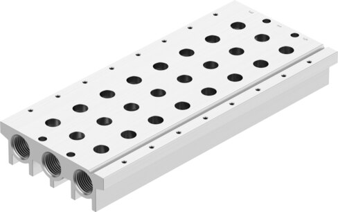 Manifold rail