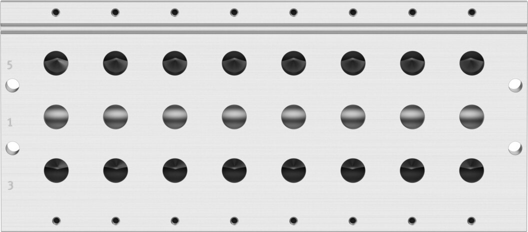 Manifold rail