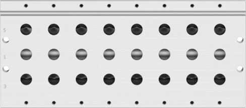 Manifold rail
