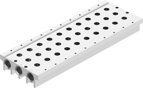 Manifold rail